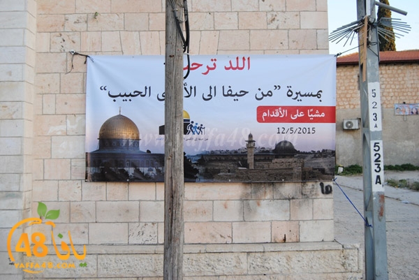 lud 7efifa masira2 (39).JPG